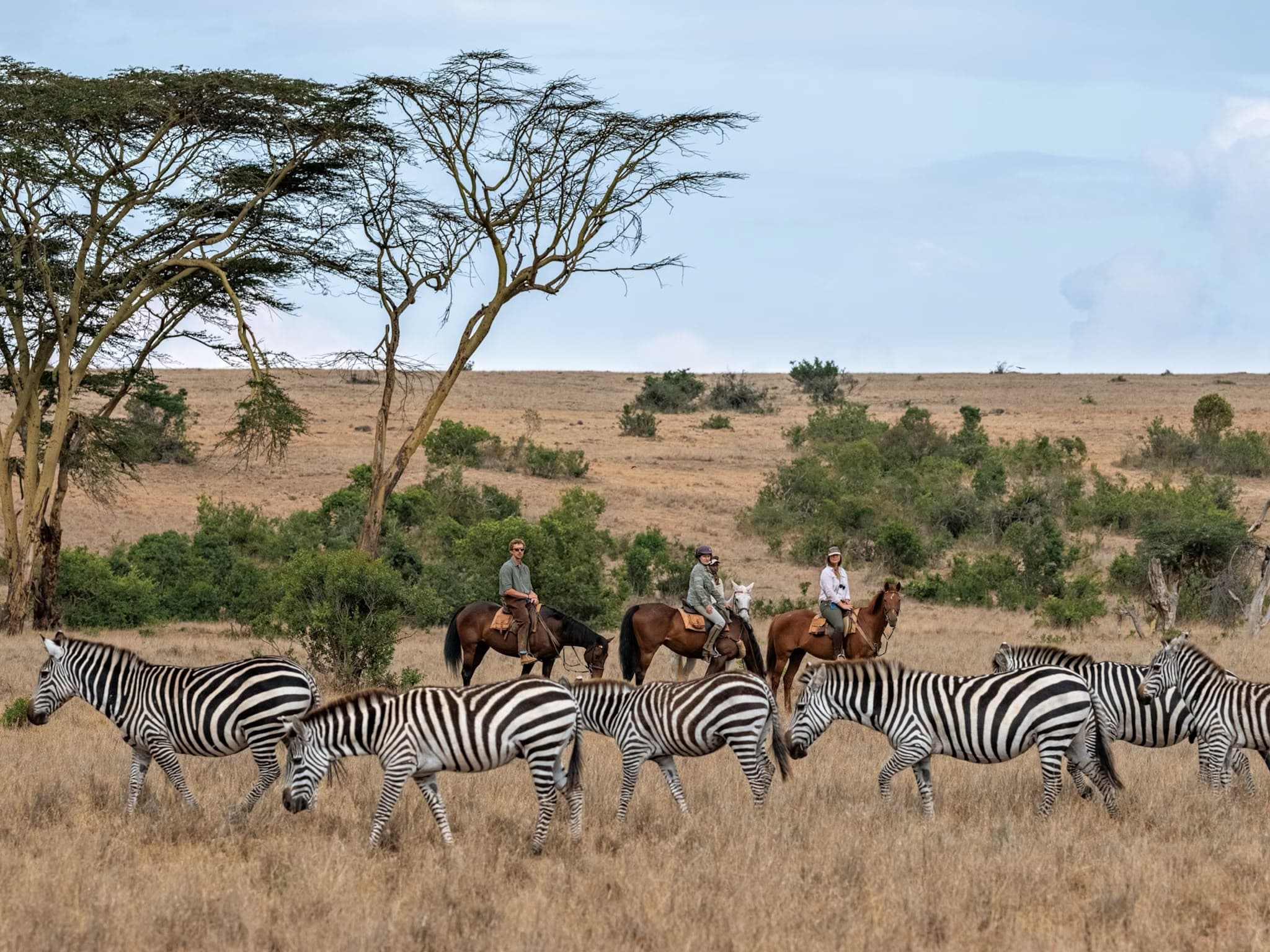Nairobi, Maasai Mara & Coast